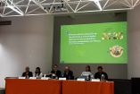 Según CEMDA, el Estado Mexicano es el principal artífice de los ataques contra activistas.
