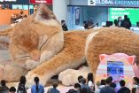 ‘Catzilla’ recibe a pasajeros en la Terminal 1 del aeropuerto de Hong Kong.