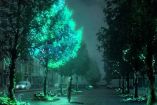 ¿Plantas que brillan en la oscuridad? Así es la tecnología que las hace posibles