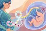 El sistema inmune de la madre podría afectar el desarrollo del bebé