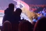 El público huye tras el salto de un tigre hacia la platea durante la función en Rostov del Don.