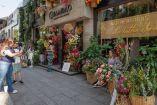 Festival de Flores CDMX