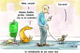 Cartoon 26 de abril del 2026