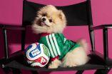 Adidas lanzó una serie de camisetas de selecciones nacionales para mascotas