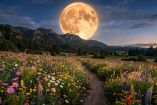 ¿A qué hora ver la Luna de las Flores 2026 en CDMX? Aquí los detalles