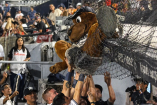Jugadores de Sultanes, encabezados por Víctor Mendoza, ayudaron a liberar al Perro Sultán tras quedar atorado en la malla del dugout.
