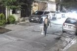 En la grabación, se observa como Jesús Rafael azota al perro contra la banqueta y posteriormente lo lleva a tirar a un parque cercano.