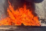incineración de drogas