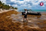 Playa de Quintana Roo cubierta por sargazo, con una embarcación en la orilla y un hombre caminando entre la macroalga.