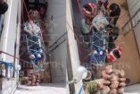 Los paramédicos le ofrecieron la primera atención médica