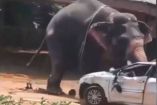 El elefante comenzó a embestir vehículos poco después de llegar al templo en Angamaly.
