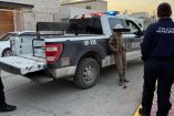 Sujeto detenido por abusar de una perrita en Monclova
