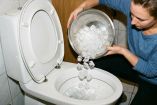 Truco de echar hielo al inodoro.
