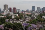 cdmx