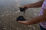 Ante esta situación, Oceana México exigió al Gobierno de México que las compensaciones lleguen a quienes realmente las necesitan.