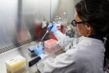 Científica del Instituto Malbrán manipula muestras para diagnosticar el hantavirus Andes, en Buenos Aires. Argentina registra un aumento de casos, aunque no un brote, tras un foco de infección en el crucero MV Hondius donde que ha causado la muerte de tres pasajeros.