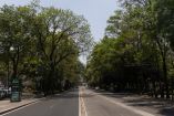 Ciudad de MÃ©xico a 7 de mayo de 2026. Aspectos de Ã¡rboles en la zona de Colonia del Valle y Narvarte de la AlcaldÃ­a Benito JuÃ¡rez. En la imagen el Eje 4 Benjamin Franklin en la colonia Escandon. Foto: Alejandro Aguilar