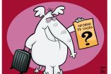 Cartoon Llera 8 de mayo del 2026