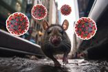 Autoridades investigan un vertedero donde turistas habrían tenido contacto con roedores portadores hantavirus.