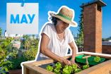 ¿Qué sembrar en mayo? Las mejores frutas y verduras para tu huerto en casa