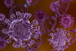 Autoridades europeas rastrean pasajeros y contactos relacionados con el brote del virus Andes.