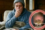 Prevención en México ante brote de hantavirus.
