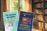 ¿Qué es el healing fiction asiático?