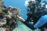 Salvan corales y rescatan infancias vulnerables en el Caribe mexicano