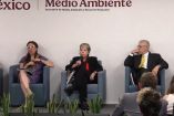 Alicia Bárcena, titular de la Secretaría de Medio Ambiente y Recursos Naturales.