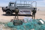 La acción se desarrolló al sur de Puertos Peñasco en inmediaciones del “Desemboque”, donde se localizaron y aseguraron diversas redes de enmalle.