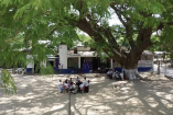 uando el calor es insoportable, las maestras los sacan a tomar clase bajo un árbol.