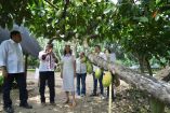 Claudia Sheinbaum anunció el proyecto “Precio justo para el cacao de Tabasco”, que busca garantizar valor agregado y exportación a Europa.