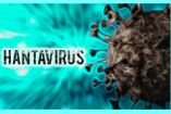 Hantavirus de los Andes: ¿Cómo se contagia y cómo identificar los síntomas?