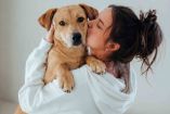 Primera reunión de perritos caramelo en CDMX