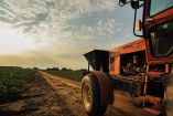 Agroindustria, la gran beneficiada del acuerdo con Europa.