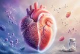 Investigadores del TEC investigan los beneficios del cannabidiol en el corazón