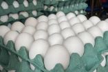 El precio del huevo, uno de los alimentos más sensibles y con mayor peso en la canasta básica mexicana, registra un desplome tan abrupto como inusual a nivel nacional.