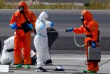 El hantavirus Andes es la única cepa conocida capaz de transmitirse entre humanos.