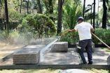 La demarcación indicó que trabaja en el retiro de árboles en riesgo de caer