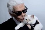 Choupette, la famosa gata de Karl Lagerfeld, continúa sin recibir la fortuna que el diseñador prometió dejarle.