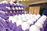 Cartones de huevo a la venta en un comercio de Veracruz.