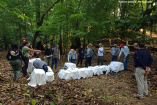 Los ejemplares retornaron a la vida silvestre luego de haber superado un proceso integral de rehabilitación física y de adaptación conductual.