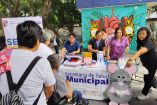 Ferias de Paz