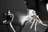 Olores que no debes usar en tu piel si no quieres que te piquen los mosquitos