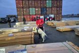 Funcionarios de Aduanas de Chile y un perro detector inspeccionan paquetes de madera en un puerto durante un operativo antidrogas.