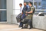 Binomio canino de EU que colabora para la seguridad del Mundial.