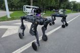 Los perros robot cuentan con un avanzado sistema de videograbación y visión nocturna, crucial para operaciones en diversas condiciones de iluminación.