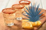 Mundo Mezcal 2026: cuándo y dónde