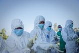 La OMS ha registrado más de 800 casos confirmados relacionados con la actual epidemia.