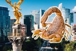 Alacranes en CDMX: tipos de especies y qué hacer si te pican